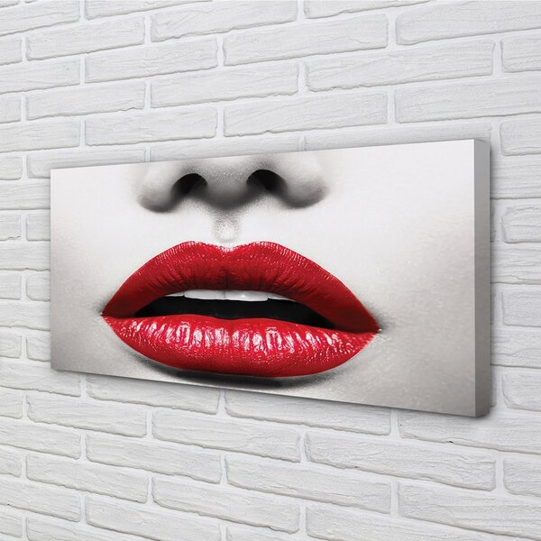Tablouri canvas buzele rosii femeie nas