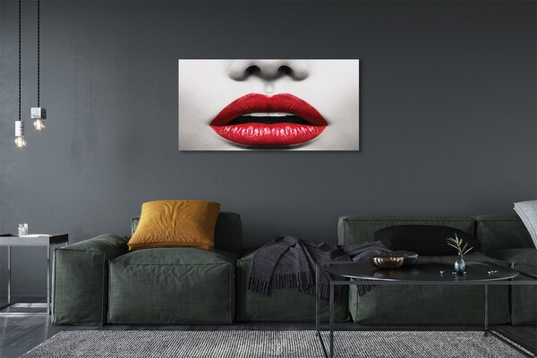 Tablouri canvas buzele rosii femeie nas