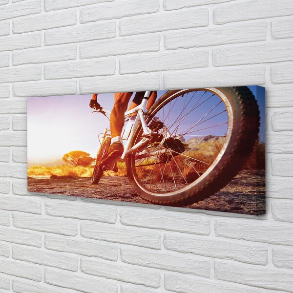Tablouri canvas Rutier biciclete de munte vest