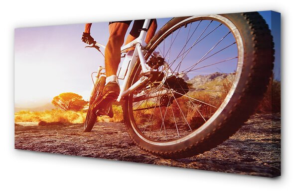 Tablouri canvas Rutier biciclete de munte vest