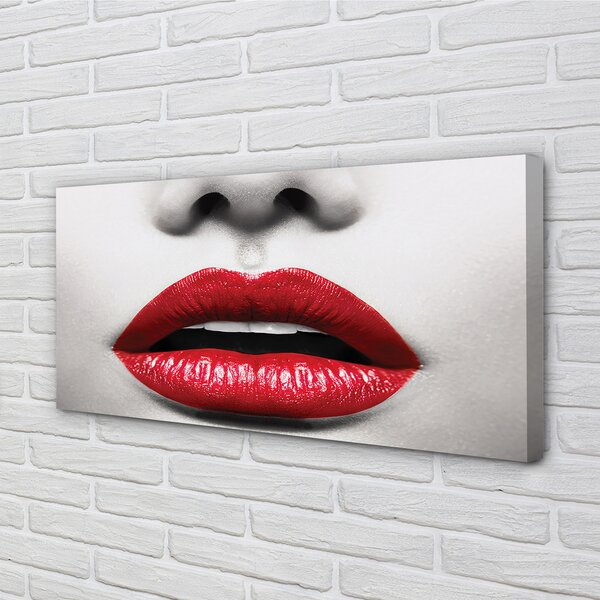 Tablouri canvas buzele rosii femeie nas