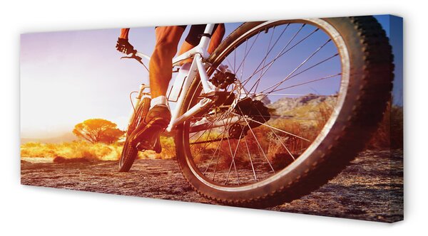 Tablouri canvas Rutier biciclete de munte vest
