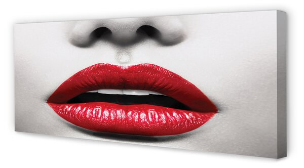 Tablouri canvas buzele rosii femeie nas