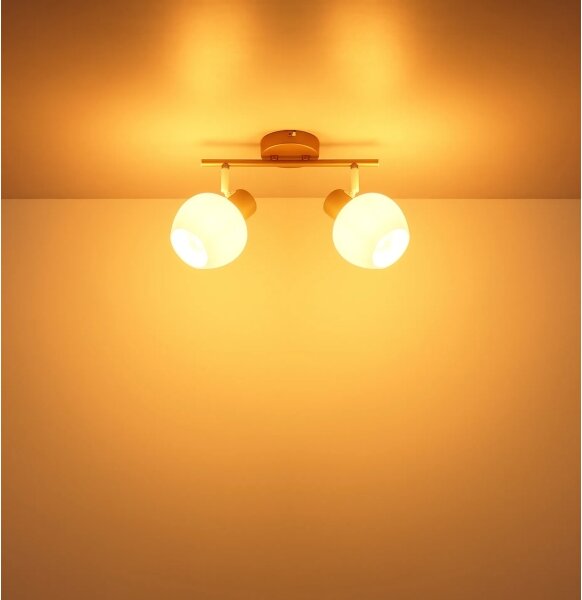 Globo 54662-2 - Lampă spot EILEEN 2xE27/40W/230V