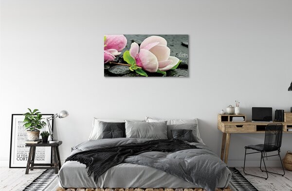 Tablouri canvas pietre Magnolia