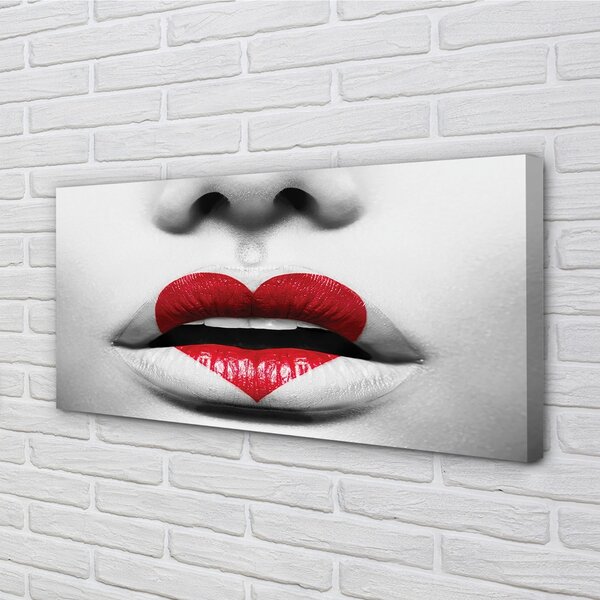 Tablouri canvas buzele Inima femeie
