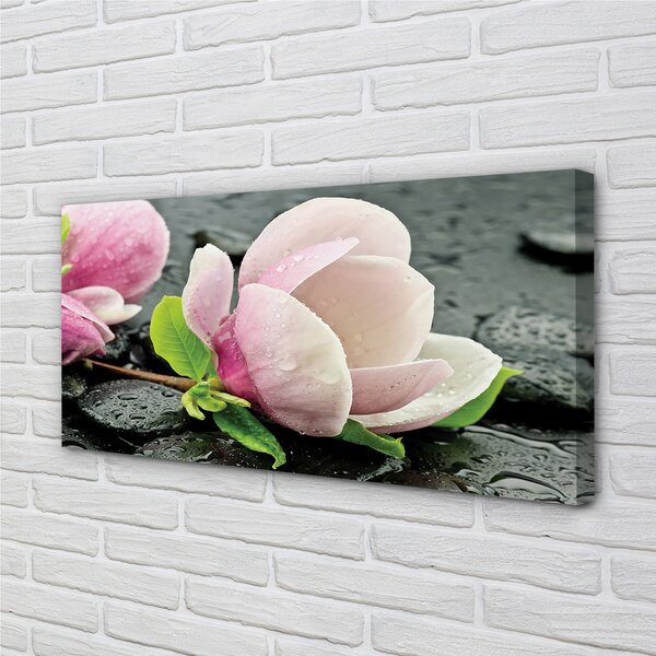 Tablouri canvas pietre Magnolia