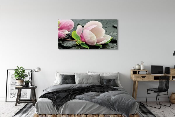 Tablouri canvas pietre Magnolia