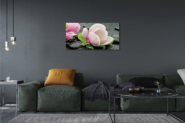 Tablouri canvas pietre Magnolia