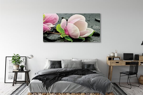 Tablouri canvas pietre Magnolia