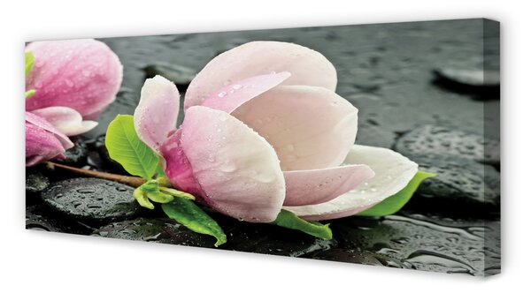 Tablouri canvas pietre Magnolia