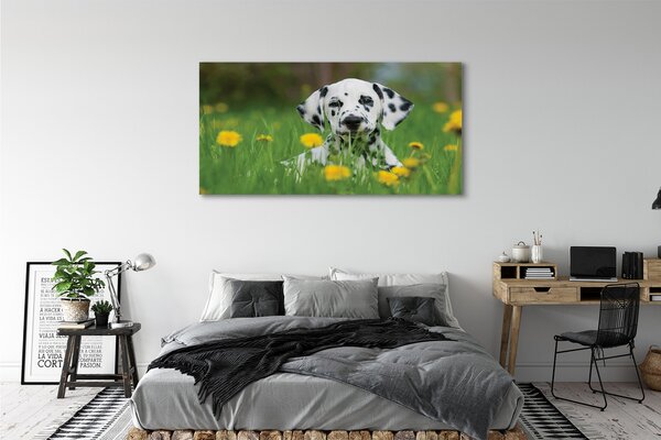 Tablouri canvas câine prerie