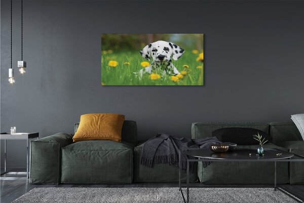 Tablouri canvas câine prerie