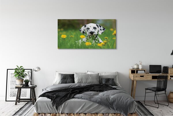 Tablouri canvas câine prerie