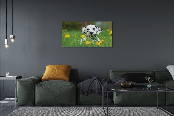 Tablouri canvas câine prerie