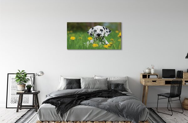 Tablouri canvas câine prerie