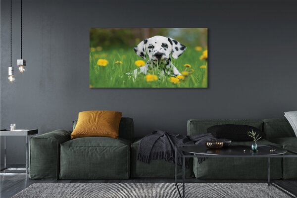 Tablouri canvas câine prerie