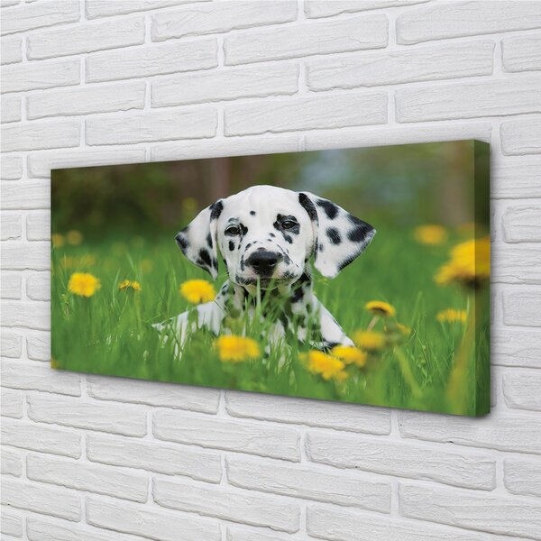 Tablouri canvas câine prerie