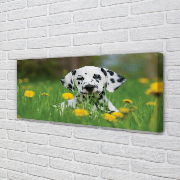 Tablouri canvas câine prerie