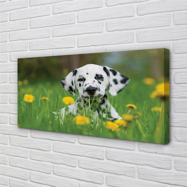 Tablouri canvas câine prerie