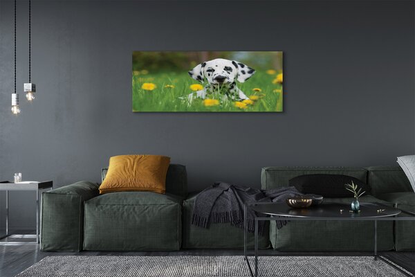 Tablouri canvas câine prerie
