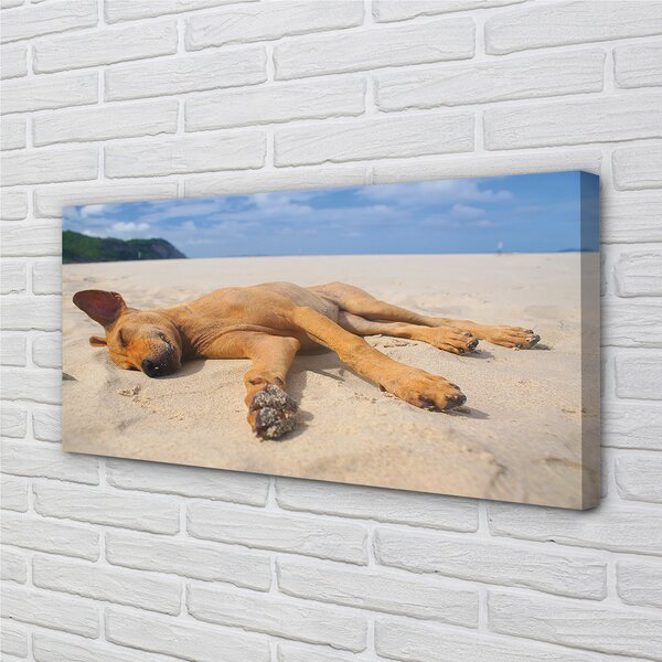 Tablouri canvas Minciuna plajă câine