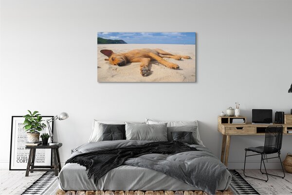 Tablouri canvas Minciuna plajă câine