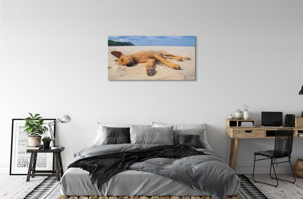 Tablouri canvas Minciuna plajă câine