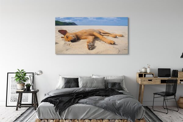 Tablouri canvas Minciuna plajă câine