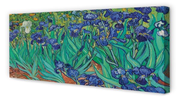 Tablouri canvas flori de artă iriși