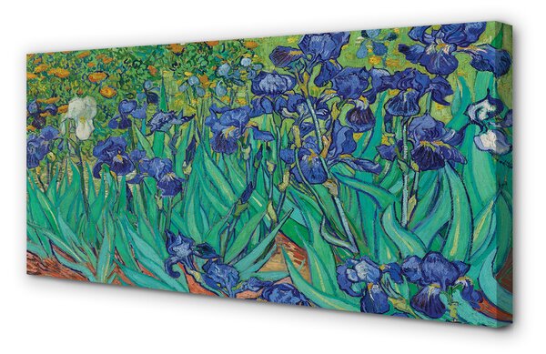 Tablouri canvas flori de artă iriși