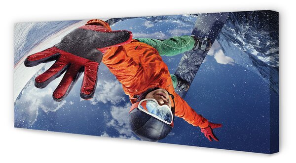 Tablouri canvas bord om