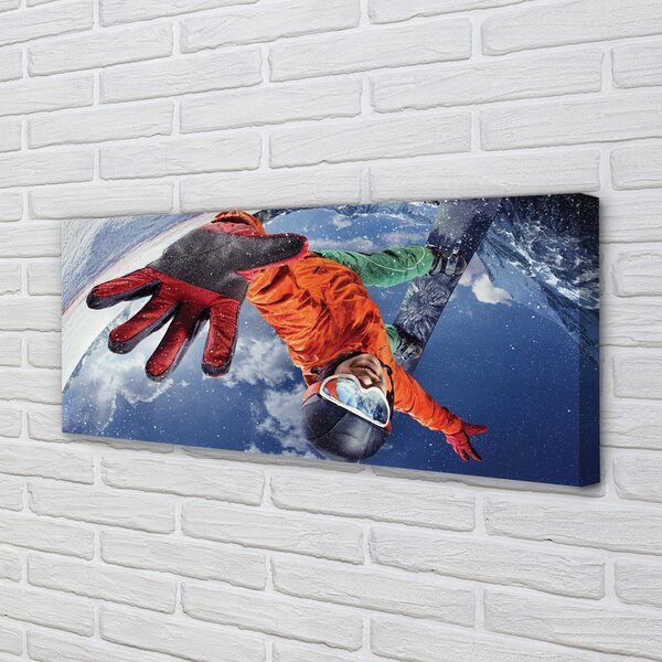 Tablouri canvas bord om