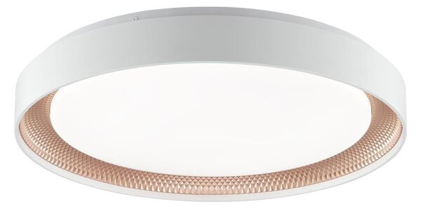 Brilliant - Plafonieră LED dimabilă WALDO LED/36W/230V alb/aur roz + telecomandă
