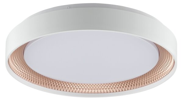 Brilliant - Plafonieră LED dimabilă WALDO LED/24W/230V alb/aur roz + telecomandă