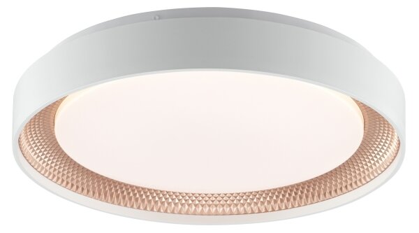 Brilliant - Plafonieră LED dimabilă WALDO LED/24W/230V alb/aur roz + telecomandă