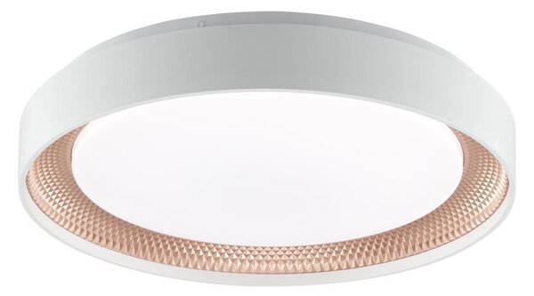 Brilliant - Plafonieră LED dimabilă WALDO LED/24W/230V alb/aur roz + telecomandă