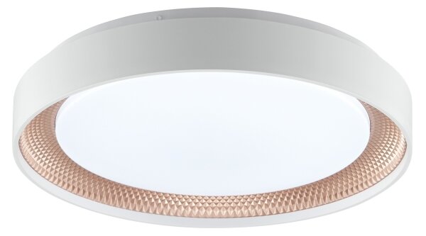 Brilliant - Plafonieră LED dimabilă WALDO LED/24W/230V alb/aur roz + telecomandă