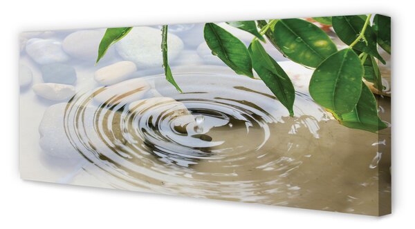 Tablouri canvas picătură de apă stropi