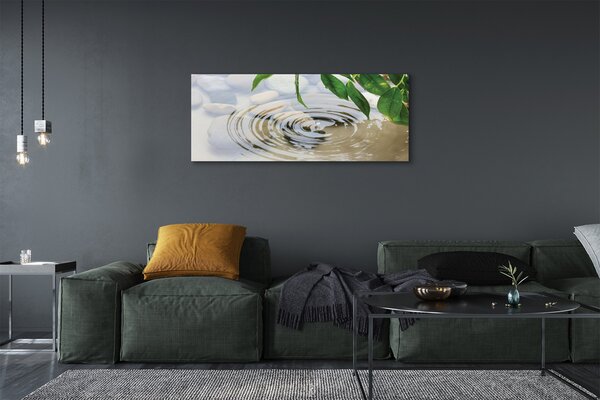 Tablouri canvas picătură de apă stropi