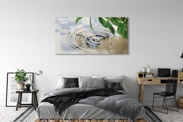 Tablouri canvas picătură de apă stropi