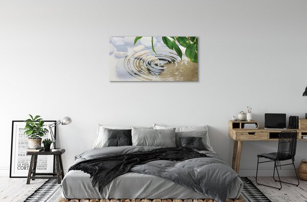 Tablouri canvas picătură de apă stropi