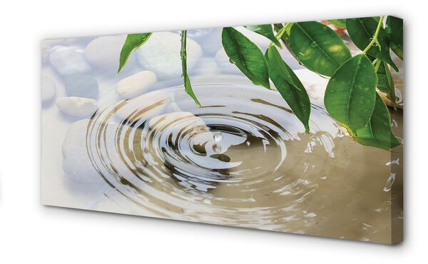 Tablouri canvas picătură de apă stropi