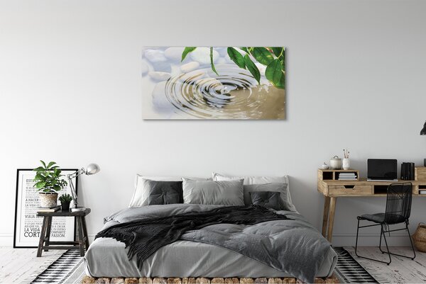 Tablouri canvas picătură de apă stropi