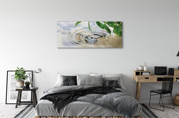 Tablouri canvas picătură de apă stropi