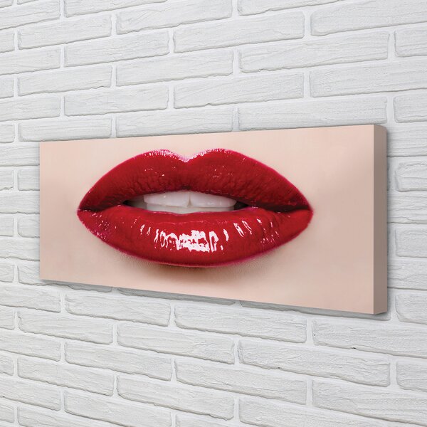 Tablouri canvas buze rosii