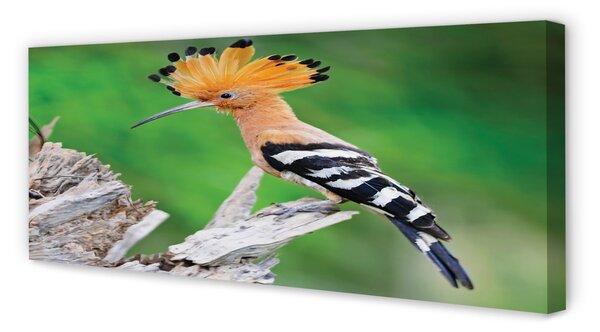 Tablouri canvas Copac papagal colorat