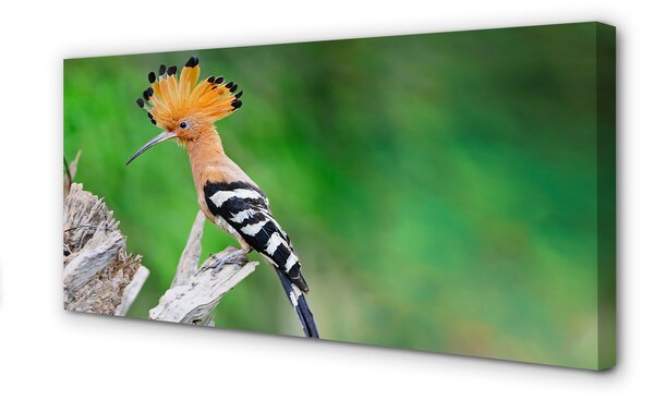 Tablouri canvas Copac papagal colorat