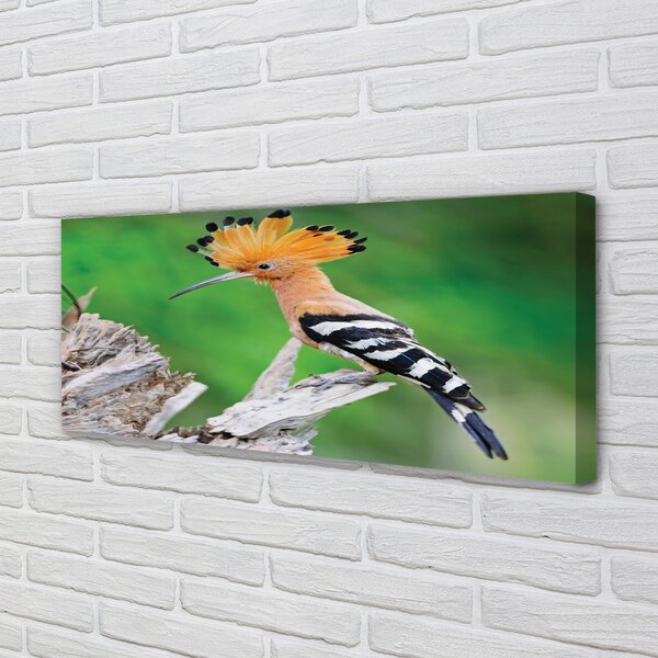 Tablouri canvas Copac papagal colorat