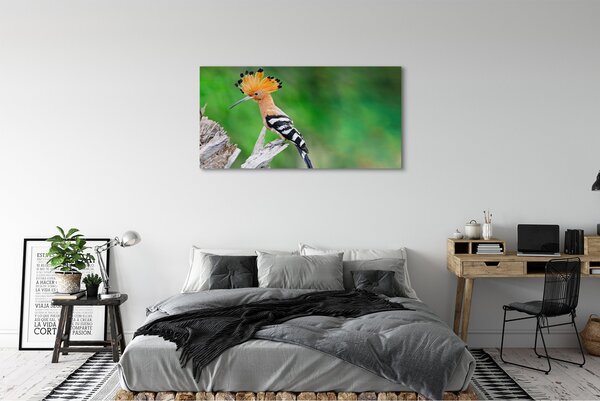 Tablouri canvas Copac papagal colorat